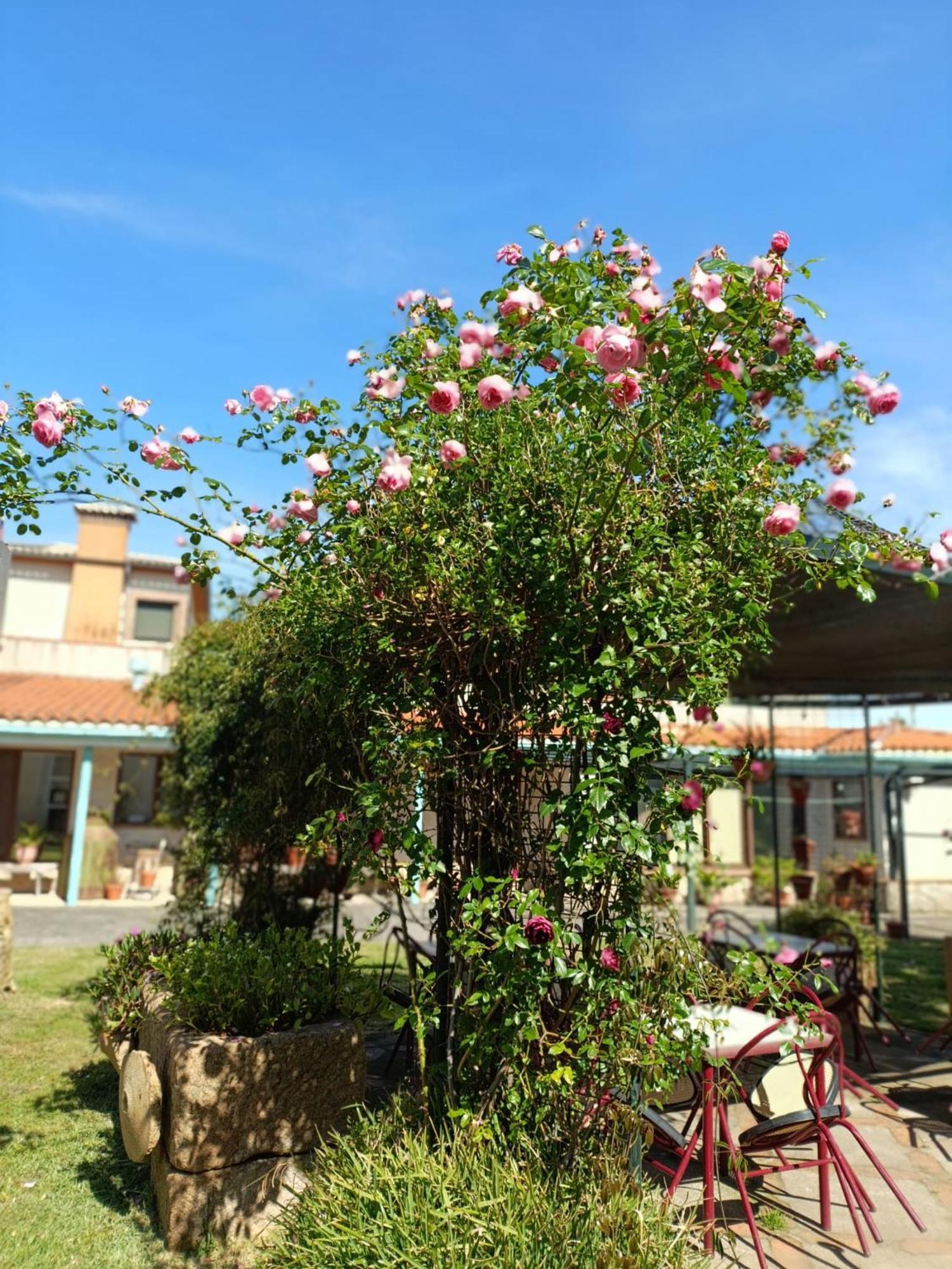 Casa Rural Del Corral Malpartida De Plasencia Dış mekan fotoğraf